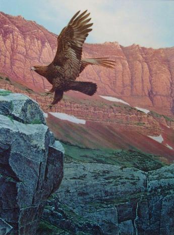 Sunrise Landing